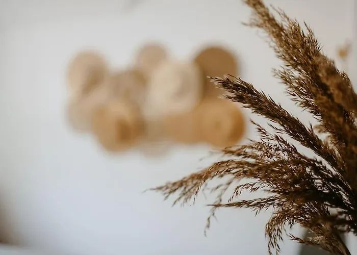 Murowana Glinca Nyaraló Zelewo